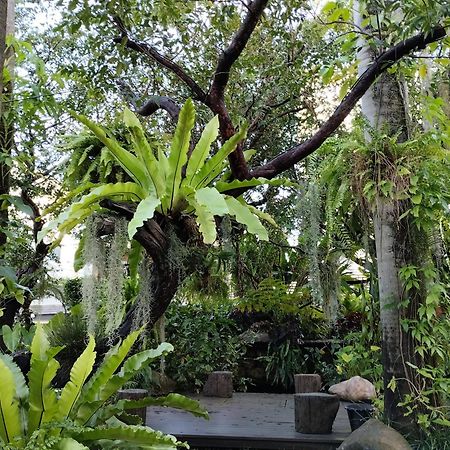 Sareeviengping Hotel Chiangmai Чиангмай Екстериор снимка