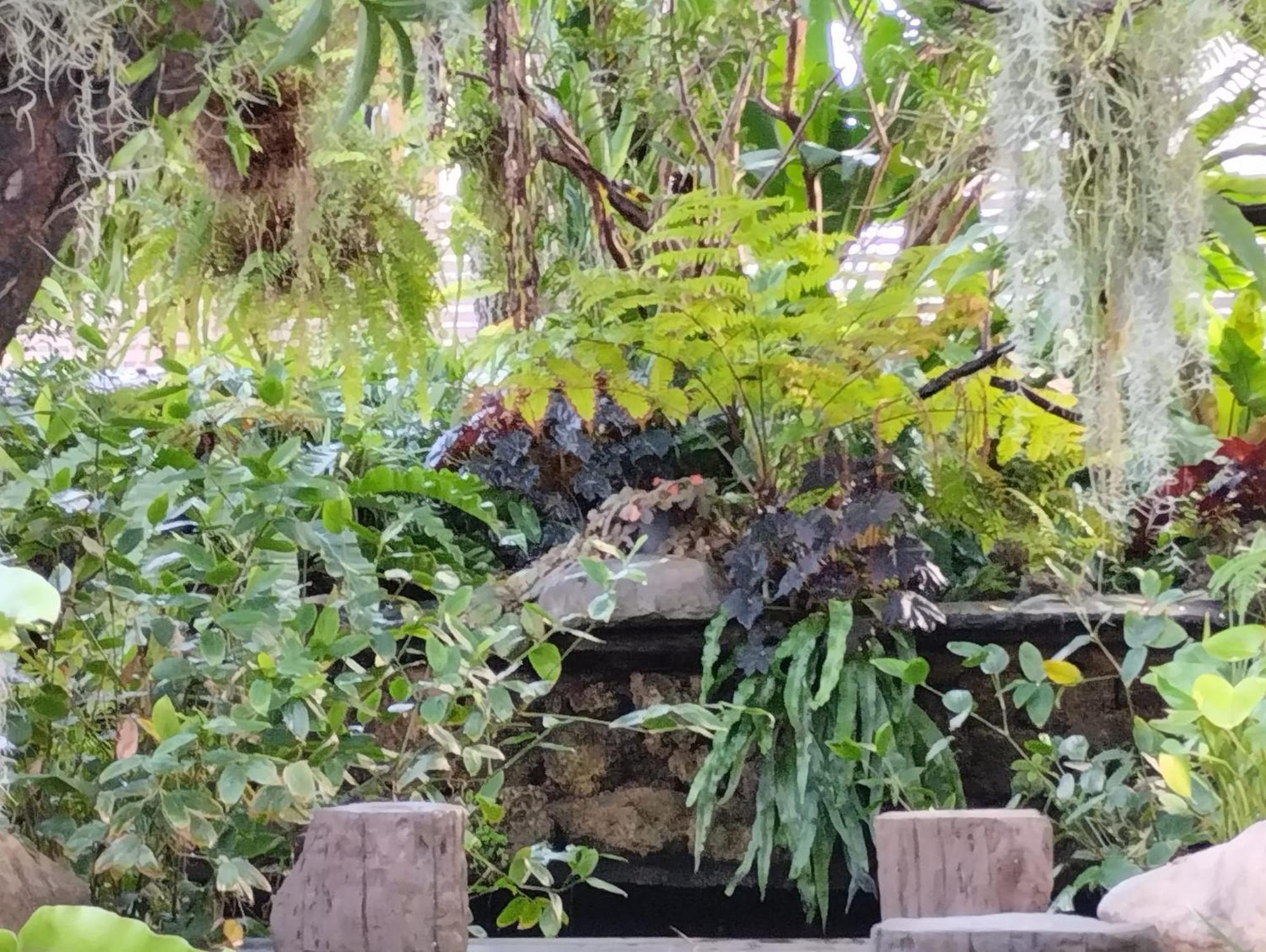 Sareeviengping Hotel Chiangmai Чиангмай Екстериор снимка