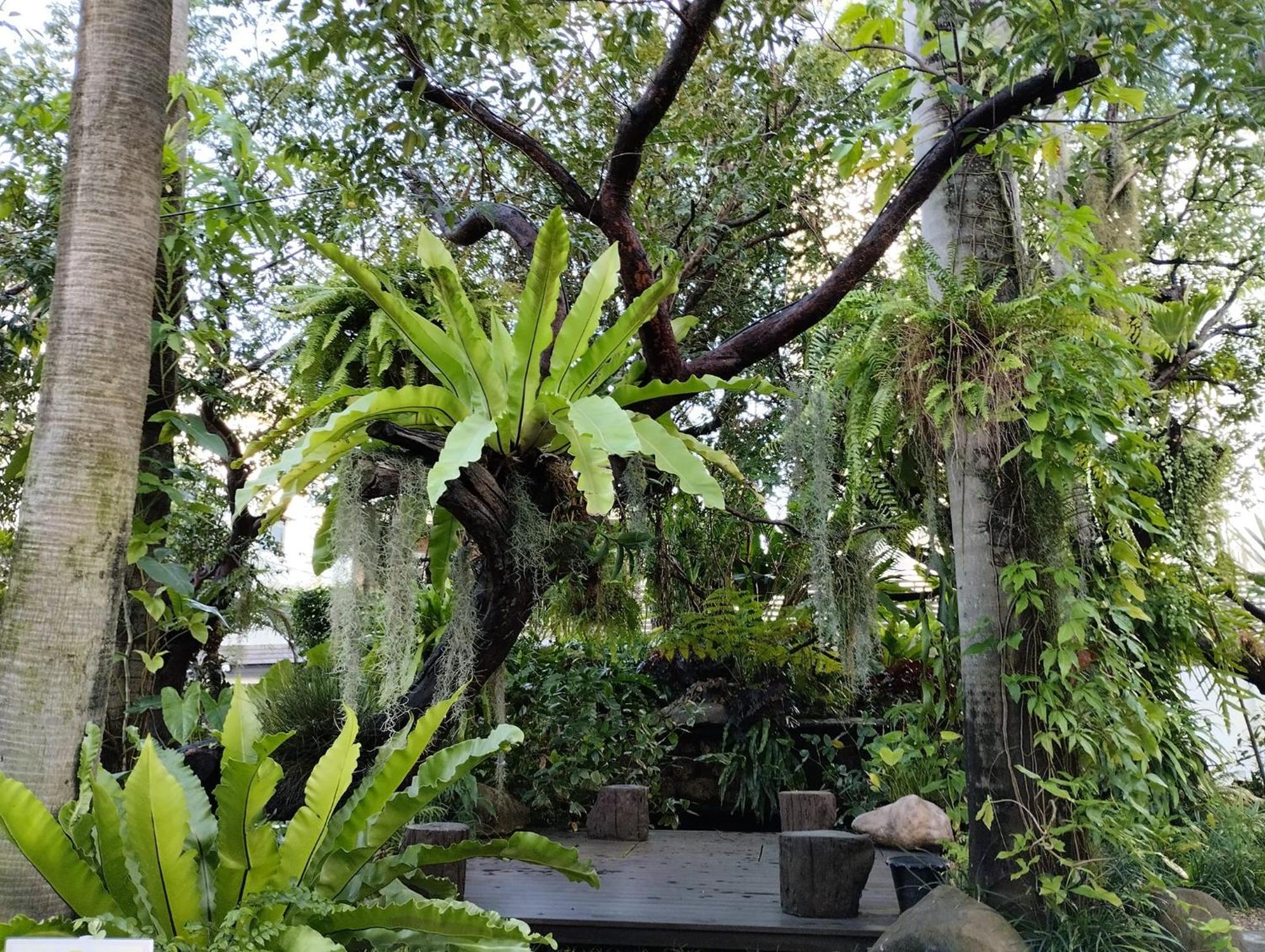 Sareeviengping Hotel Chiangmai Чиангмай Екстериор снимка